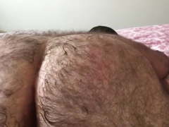 Daddy bear loves dick in his hairy ass